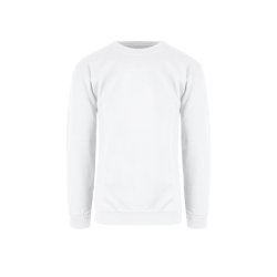 CLASSIC SWEATSHIRT JR.