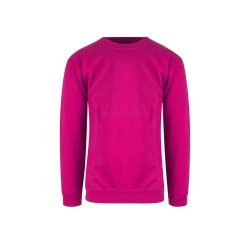 CLASSIC SWEATSHIRT JR.
