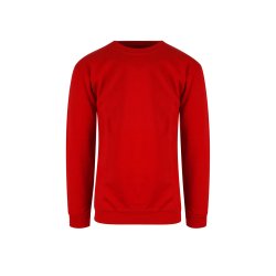 CLASSIC SWEATSHIRT JR.