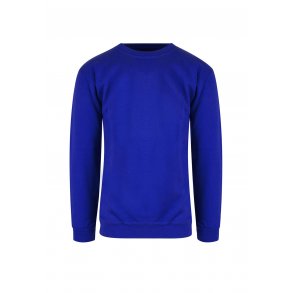 CLASSIC SWEATSHIRT JR.