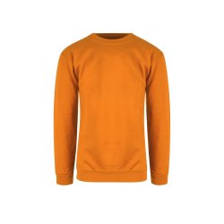 CLASSIC SWEATSHIRT JR.