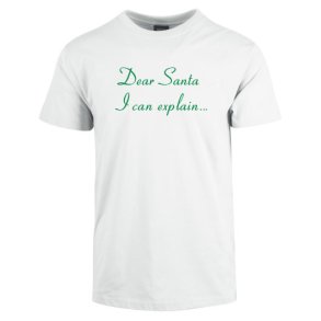 I CAN EXPLAIN T-SKJORTE