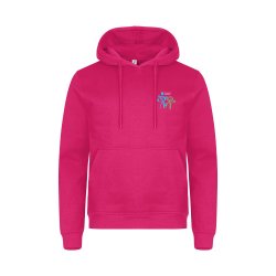 Samspill og Glede College hettegenser, Unisex