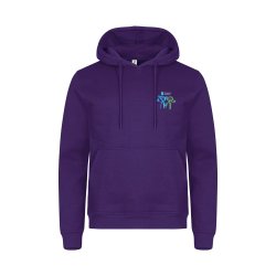 Samspill og Glede College hettegenser, Unisex