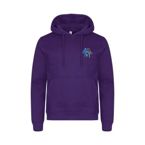 Samspill og Glede College hettegenser, Unisex