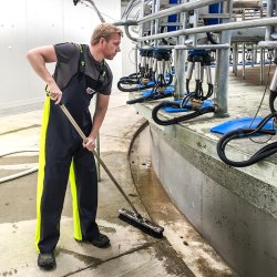 STORMTEX-AIR 652 REGNBUKSE